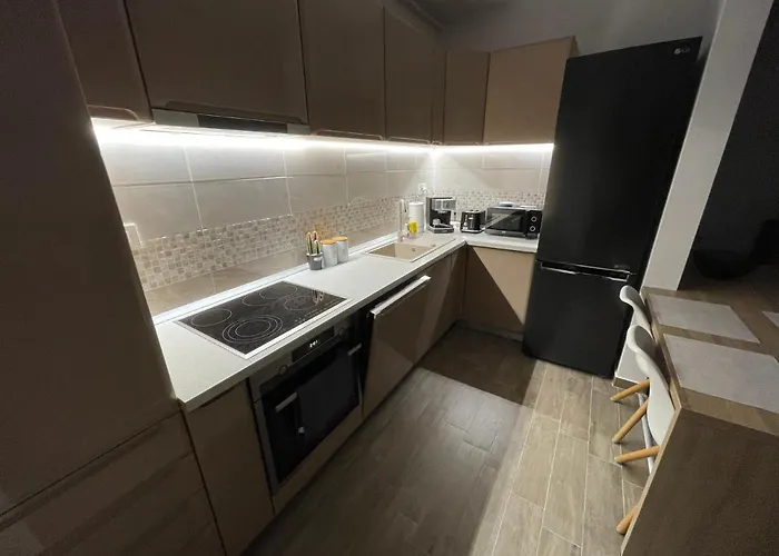 Panoramic View Timişoara